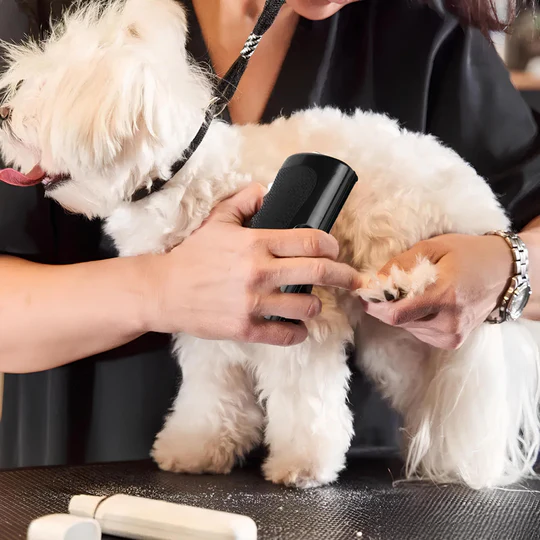 GOLDI™ Spazzola Multifunzione – Per un trattamento sicuro e delicato